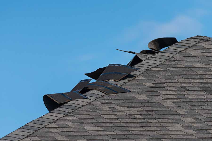 Wind Damage